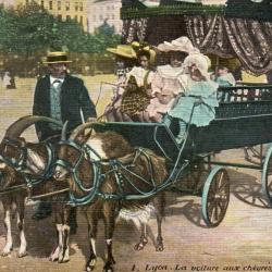 Carte postale ancienne - Lyon, La voiture aux ch&egrave;vres, place Bellecour -N&deg;8375