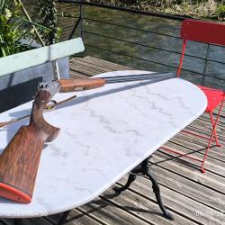Beretta sporting calibre 410