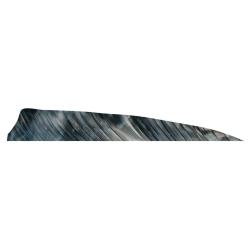 Plume Naturelle Shield 4" - Gateway - Noir / Droitier RW