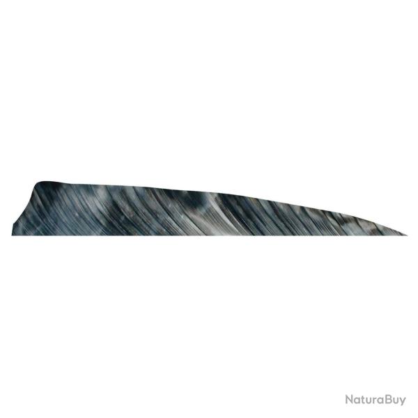 Plume Naturelle Shield 4" - Gateway - Noir / Droitier RW