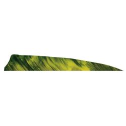 Plume Naturelle Shield 4" - Gateway - Jaune / Gaucher LW