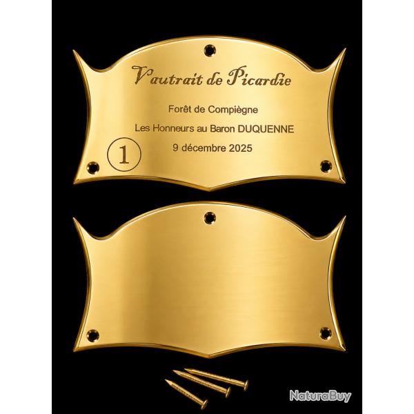 Plaque ECUSSON LAITON VIERGE � graver n� 01 - 70x40*1mm - ELLESS France