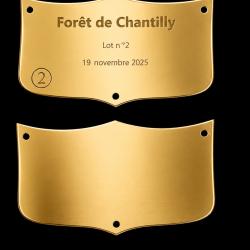 Plaque ECUSSON LAITON VIERGE &agrave; graver n&deg; 02 - 70x40*1mm - ELLESS France