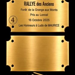 Plaque ECUSSON LAITON VIERGE &agrave; graver n&deg; 04 - 70x40*1mm - ELLESS France
