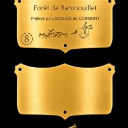 Plaque ECUSSON LAITON VIERGE &agrave; graver n&deg; 08 - 70x40*1mm - ELLESS France