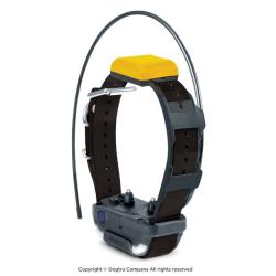 Dogtra Collier Suppl. PATHFINDER 2 (sangle Noire) - R&eacute;f: 171016 - GPS & Dressage port&eacute;e 10000m