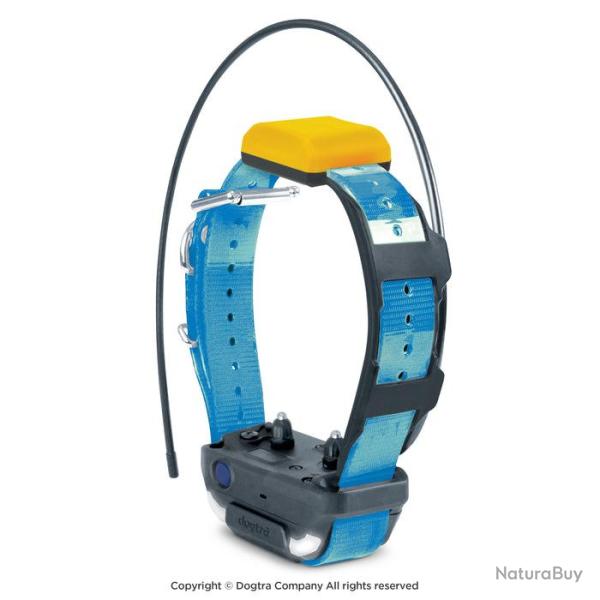 Dogtra Collier Suppl. PATHFINDER 2 (sangle Bleue) - R�f: 171030 - GPS & Dressage port�e 10000m