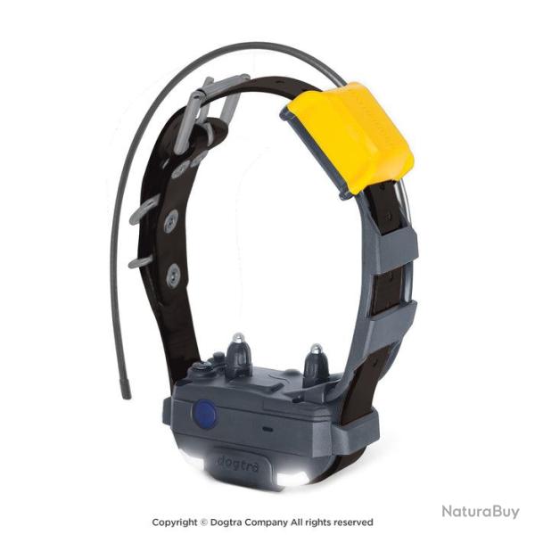Dogtra Collier Suppl. PATHFINDER 2 MINI (sangle Noire) - R�f: 171085 - GPS & Dressage port�e 5000m