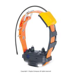 Dogtra Collier Suppl. PATHFINDER 2 MINI (sangle Orange) - R&eacute;f: 171054 - GPS & Dressage port&eacute;e 5000m