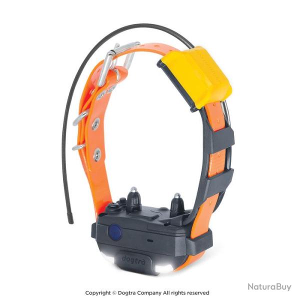 Dogtra Collier Suppl. PATHFINDER 2 MINI (sangle Orange) - R�f: 171054 - GPS & Dressage port�e 5000m