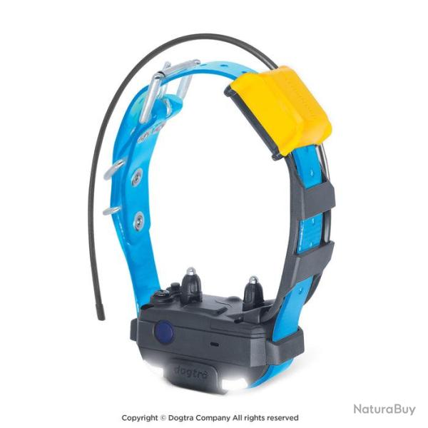 Dogtra Collier Suppl. PATHFINDER 2 MINI (sangle Bleue) - R�f: 171061 - GPS & Dressage port�e 5000m