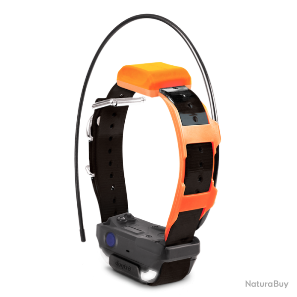 Dogtra Collier Suppl. PATHFINDER 2 TRX (sangle Noire) - R�f: 171306 - GPS & Dressage port�e 10000m