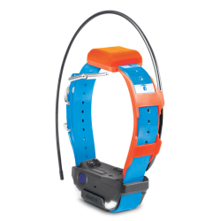 Dogtra Collier Suppl. PATHFINDER 2 TRX (sangle Bleue) - R&eacute;f: 171320 - GPS & Dressage port&eacute;e 10000m