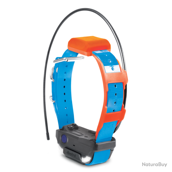 Dogtra Collier Suppl. PATHFINDER 2 TRX (sangle Bleue) - R�f: 171320 - GPS & Dressage port�e 10000m