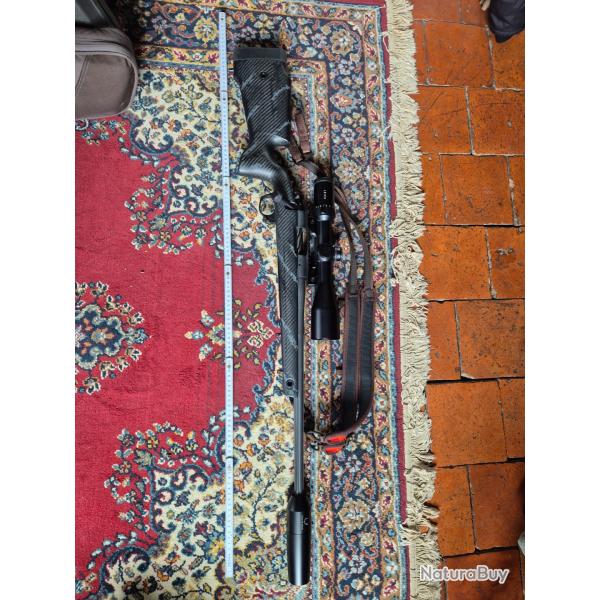 Bergara crest carbon 243w + silencieux et montage EAW + bloc d�tente trigertech