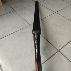 Fusil de chasse