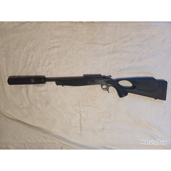 Bergara ba13 300 AAC blackout
