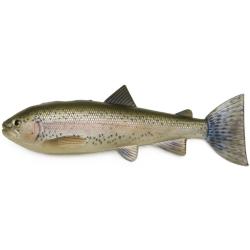 Leurre Souple Pulzbait Skinz 20cm 60g 20cm Rainbow Trout