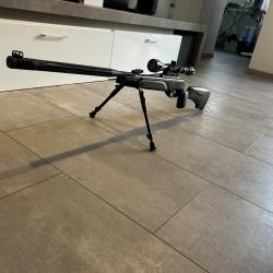 Carabine &agrave; plomb gamo hpa igt