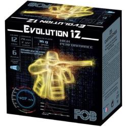 Evolution HP cal12 36gr fob evolution hp cal 12 36g n&deg;4 * 25