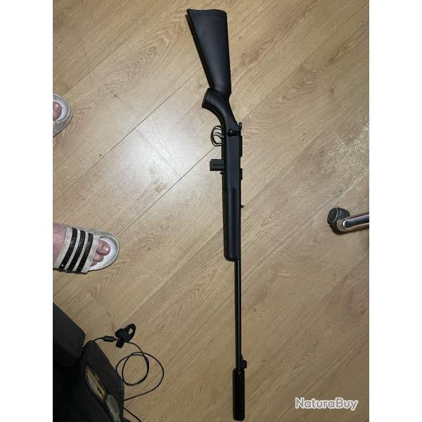 Norinco NR15 calibre 22lr avec silencieux