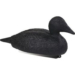 Appelant Eider Noir
