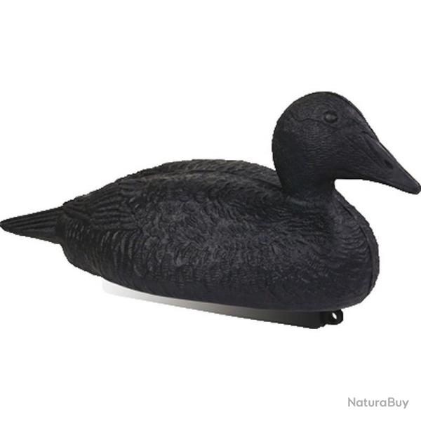Appelant Eider Noir