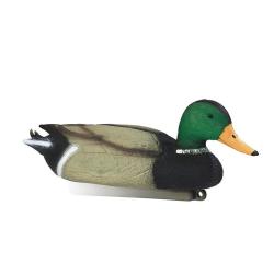 Appelant Colvert Male mousse