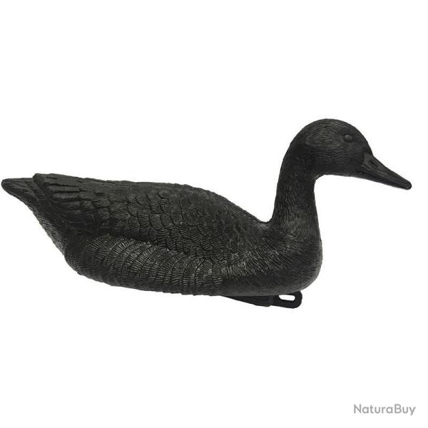 Appelant Oie Noire