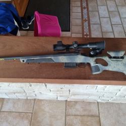 Carabine b 14  Bergara 308 win