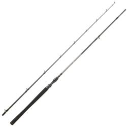 Canne Casting Daiwa Exceler 2025 1 2m21 14 - 42g 221cm 119g