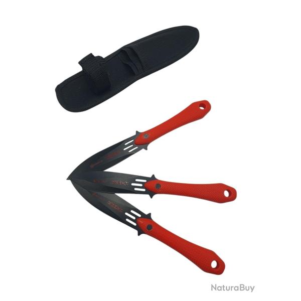 OP ACC - JEU DE 3 COUTEAUX DE LANCE ALBAINOX AVEC MANCHE POLYMERE + ETUI