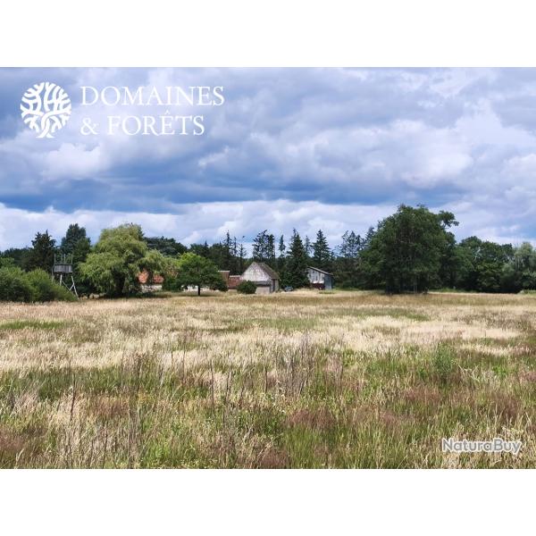 Propri�t� de Chasse P�che et Agr�ment en Sologne d'environ 42 hectares DF-2001-S
