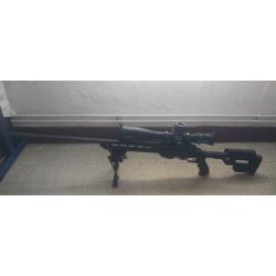 ATA Arms ALR calibre .308 Winchester