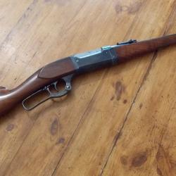 Savage 1899