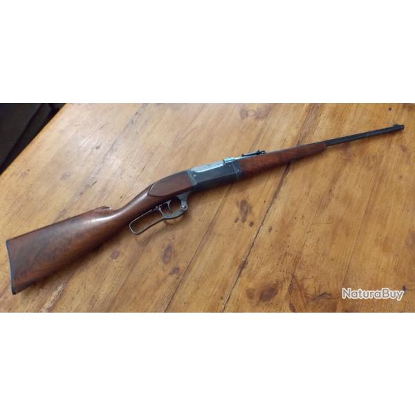 Savage 1899