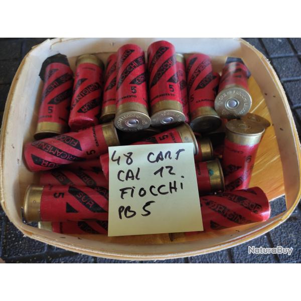 LOT CARTOUCHE FIOCCHI CALIBRE 12
