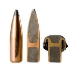BALLES NOSLER PARTITION CAL .25 - 100 GRAINS