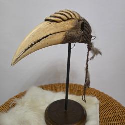 cr&acirc;ne de calao festonn&eacute; Dayak