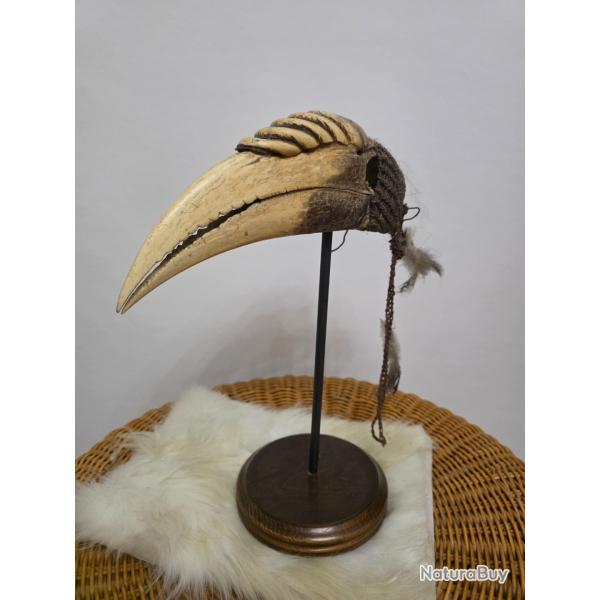 cr�ne de calao festonn� Dayak