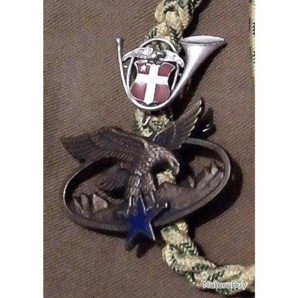 Lot insignes et fourrag�re du 13eme BCA
