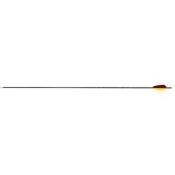 Fl&egrave;che Avalon Tyro 4.2 Trad Carbone Plumes Naturelles 800 Encoche Jaune 30" 90 gr Rouge/Jaune/Jaune