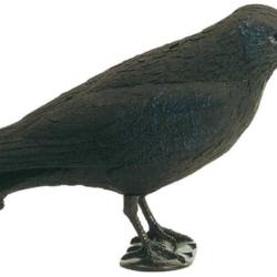 APPELANT CORBEAU