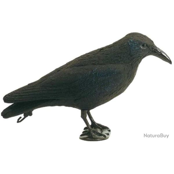 APPELANT CORBEAU