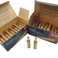 DESTO AMMO - LOT DE 67 CARTOUCHES NORMA JAKTMATCH 22-250 FMJ 55GrGR