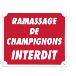 LOT DE 10 PANNEAUX ''RAMASSAGE DE CHAMPIGNONS INTERDIT'' 30 X 25 CM AKILUX