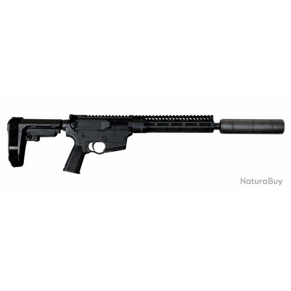 Pack Carabine TROY INDUSTRIES ar9 LRBHO cal.9x19 canon 10.5" + silencieux SAI (SAI131)