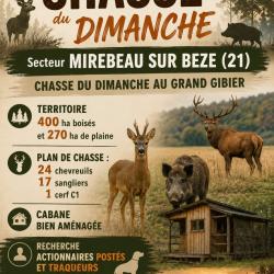 Recherche actionnaire C&ocirc;te d'Or (21) grand gibier