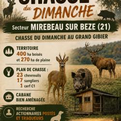 Recherche actionnaire C&ocirc;te d'Or (21) grand gibier