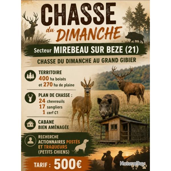 Recherche actionnaire C�te d'Or (21) grand gibier